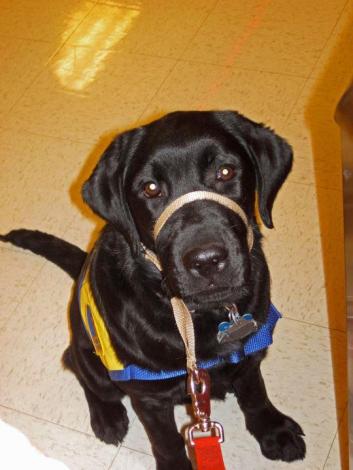 Doing well in Target )