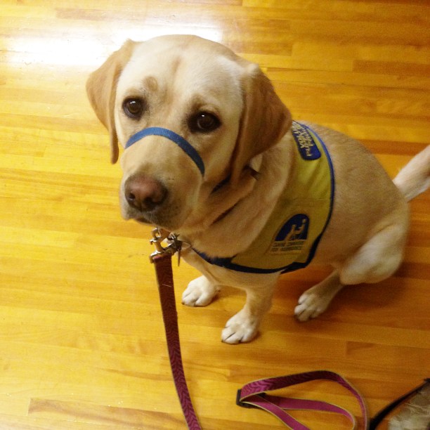 7.24.14 out and about