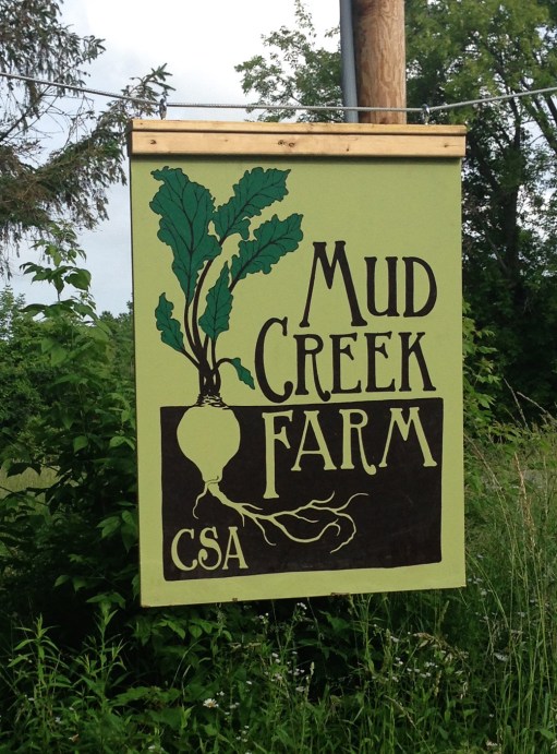 mud creek1