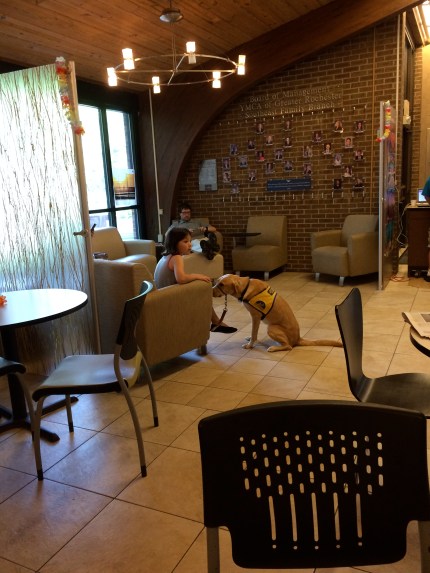 fenwick with annie at the y