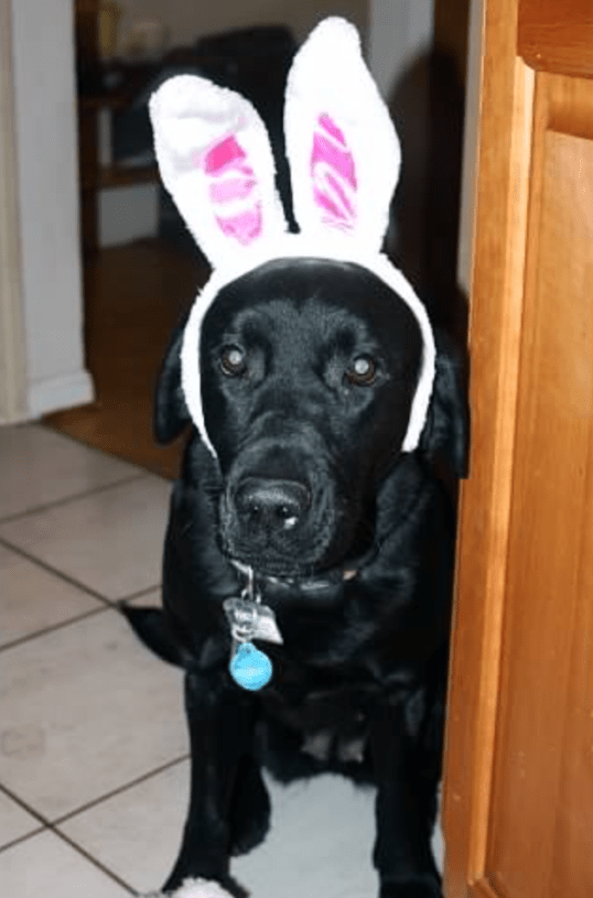 Screen Shot 2016-05-13 at 11.21.38 PM